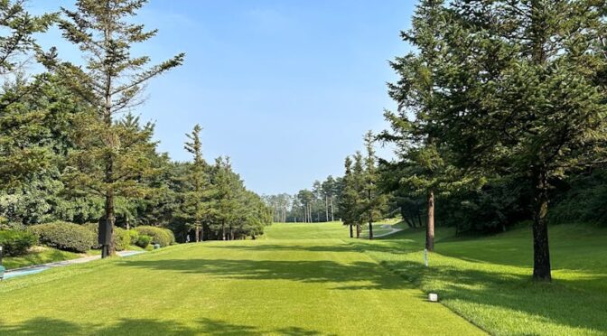 telek takarítás Martonvásár, telek takaritas martonvasar