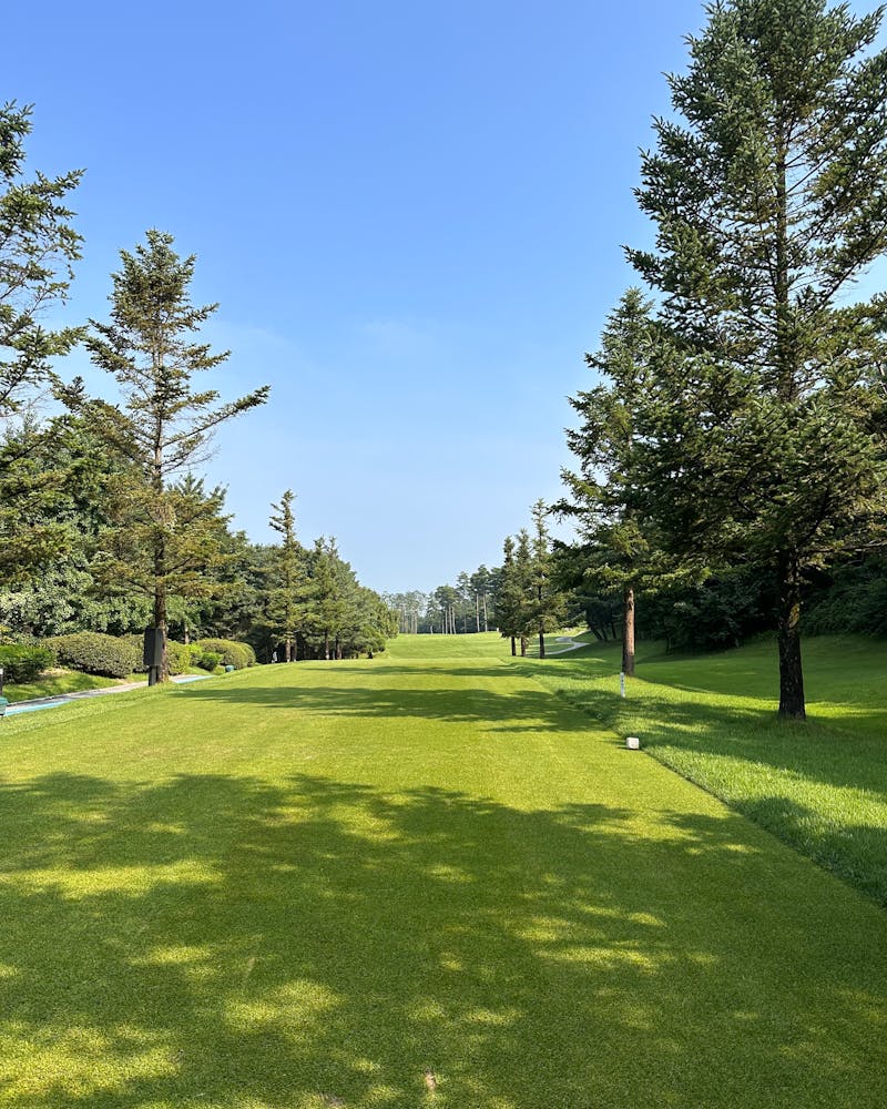 telek takarítás Martonvásár, telek takaritas martonvasar