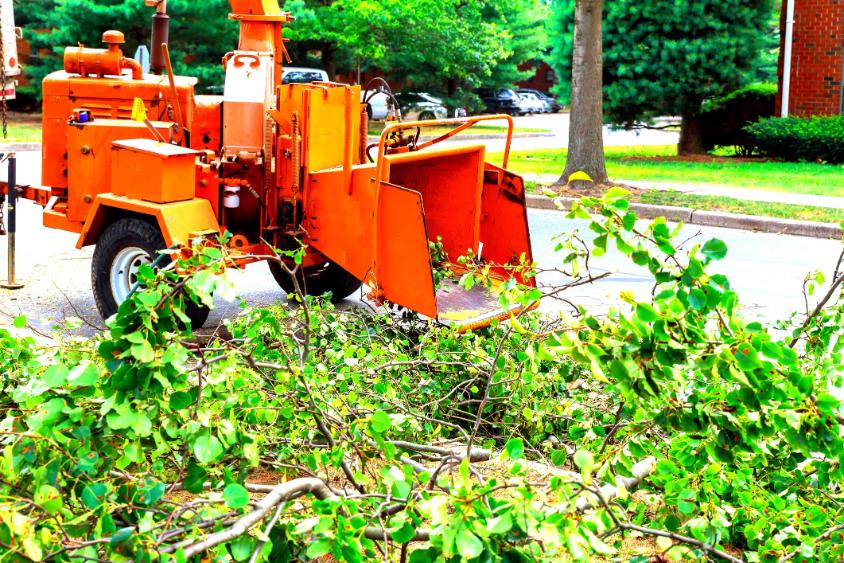 agdaralas martonvasar, ágdarálás Martonvásár