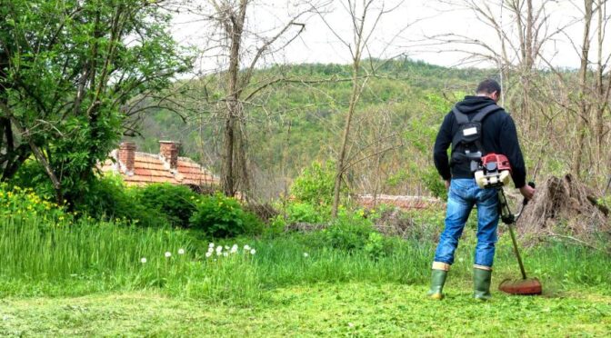 fűkaszálás Martonvásár, fukaszalas martonvasar