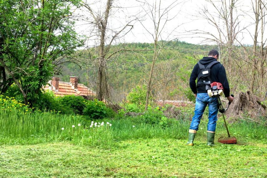 fűkaszálás Martonvásár, fukaszalas martonvasar