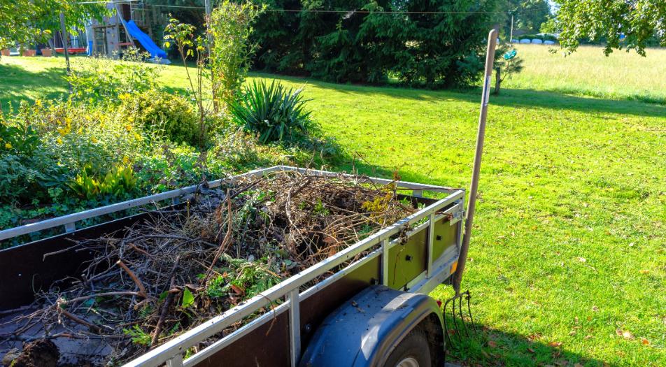 bozótirtás Martonvásár, bozotirtas martonvasar